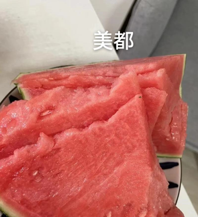 甜美都西瓜种子早熟糖度高含糖14度以上瓤红皮薄基地专用