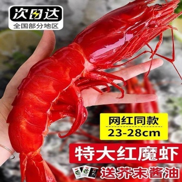 国产红魔虾大鲜活即食刺身级低温鲜甜虾新鲜冷冻海鲜寿司红
