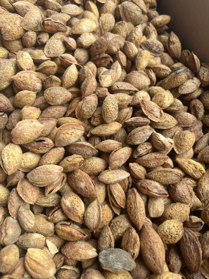 巴旦木展会地摊电商精品薄皮巴旦木果夏威夷果坚果