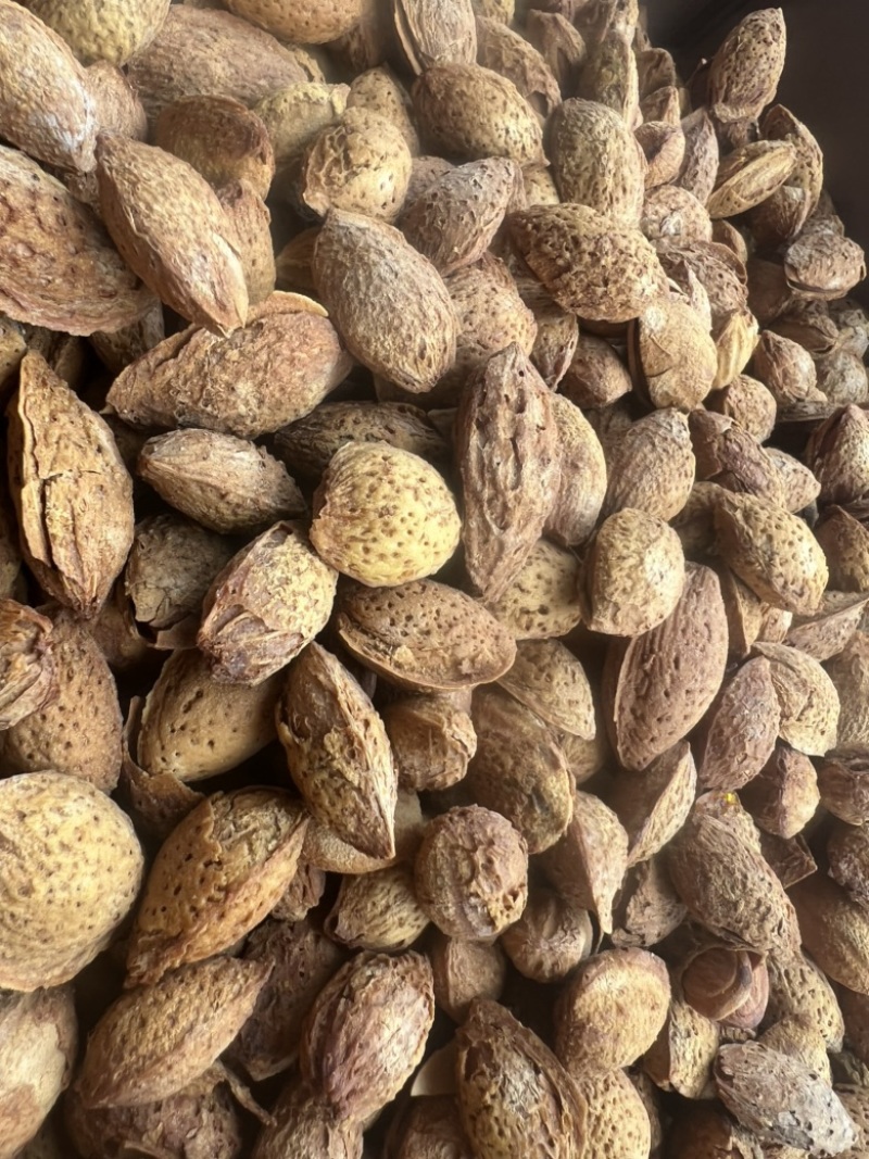 巴旦木展会地摊电商精品薄皮巴旦木果夏威夷果坚果