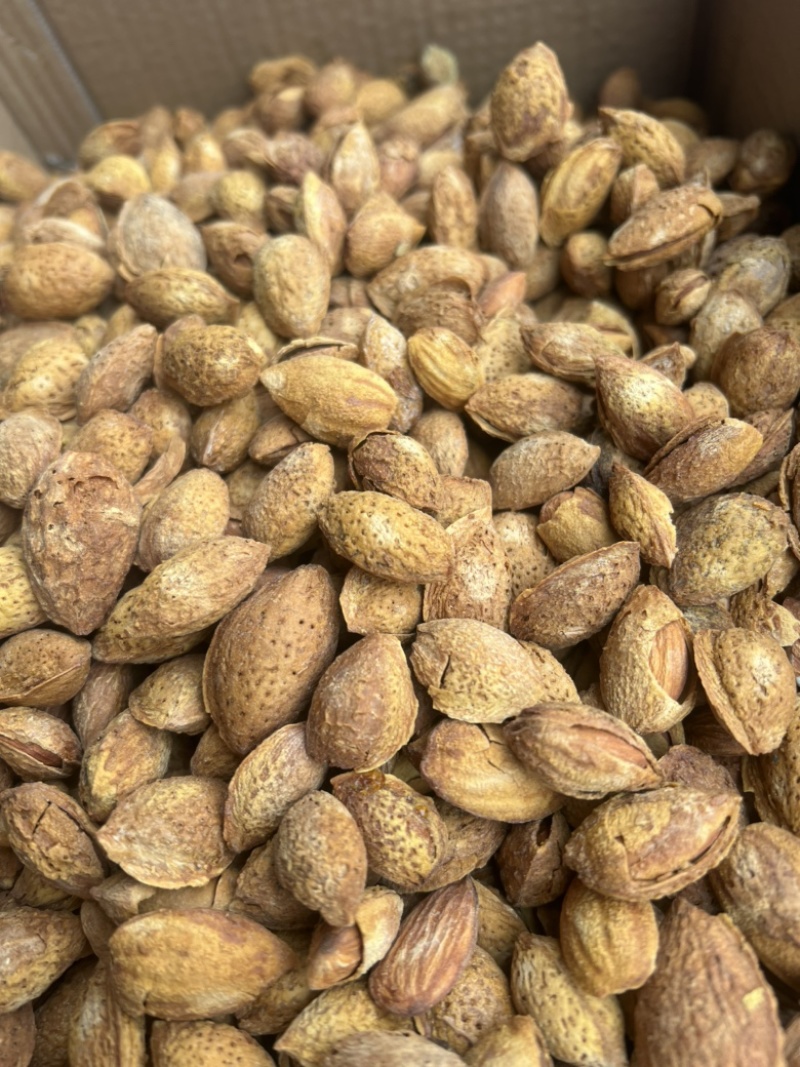 巴旦木展会地摊电商精品薄皮巴旦木果夏威夷果坚果