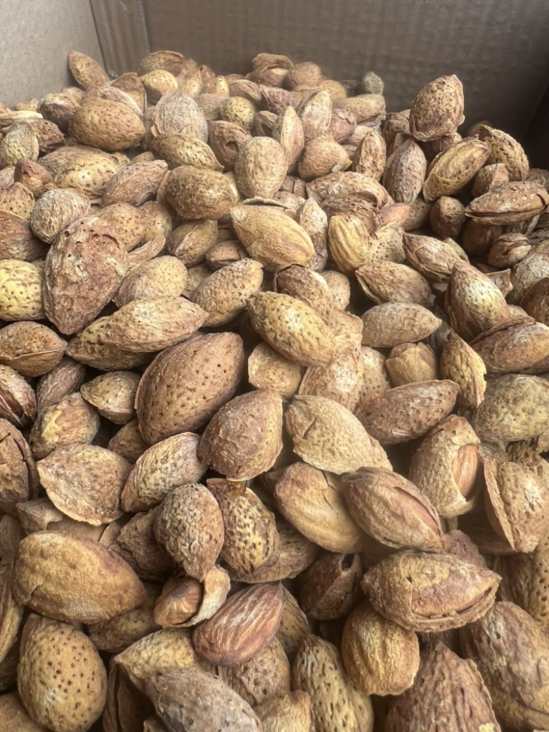 巴旦木展会地摊电商精品薄皮巴旦木果夏威夷果坚果