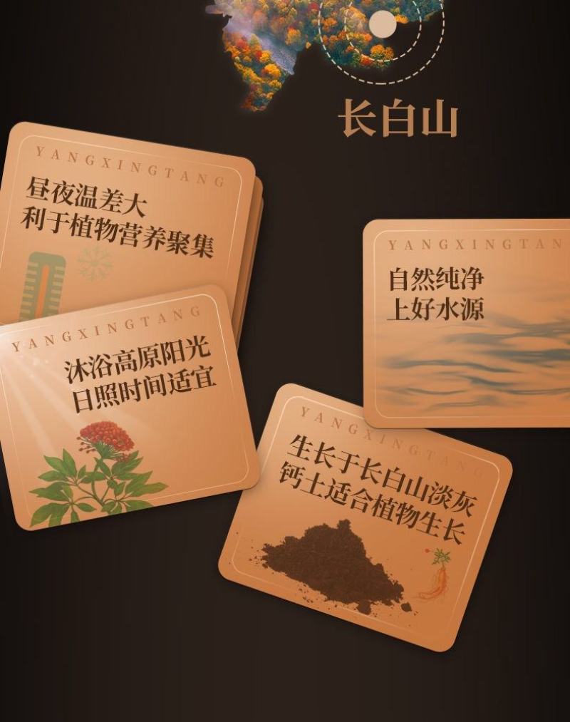 厂家批发东北特产干人参礼盒装优质整枝原皮