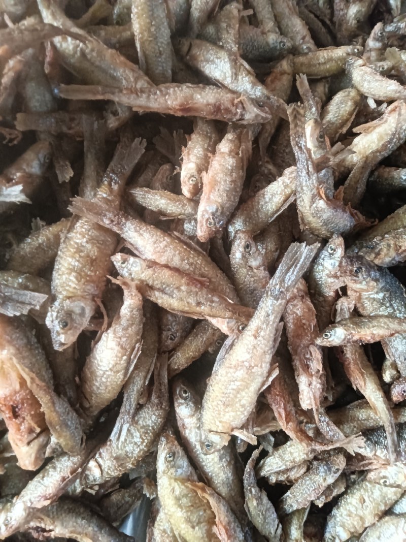 油炸麦穗鱼