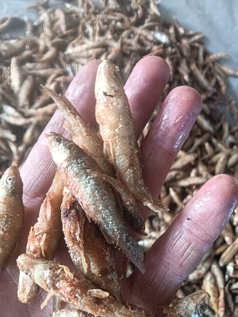油炸麦穗鱼