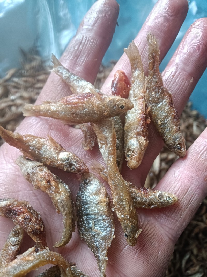 油炸麦穗鱼