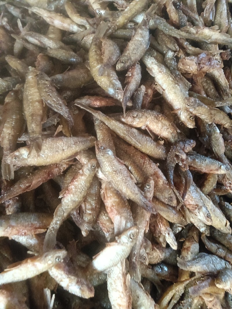 油炸麦穗鱼