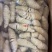 新乡精品筋旺面筋，产地直发，保质保量，欢迎老板选购