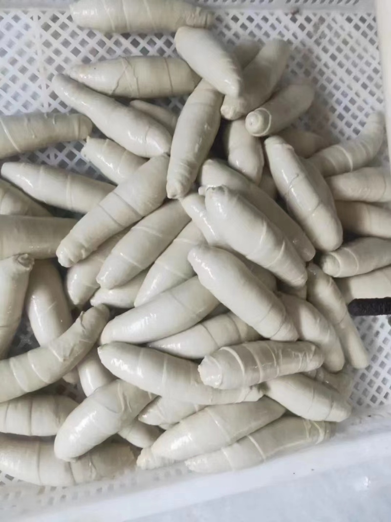 新乡精品筋旺面筋，产地直发，保质保量，欢迎老板选购