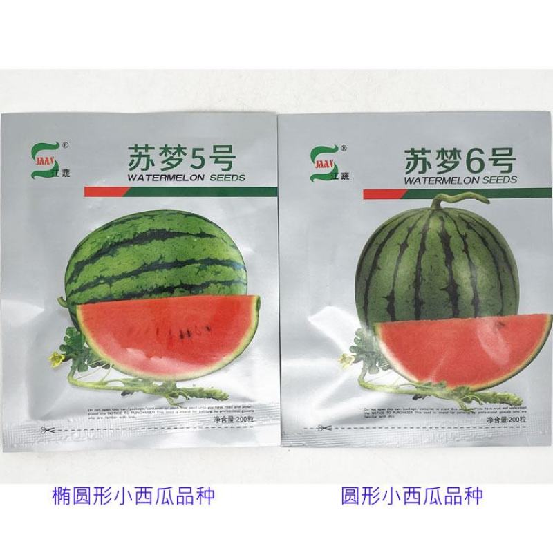 苏梦5号6号早熟小果型西瓜种子大红瓤耐低温杂交西瓜种