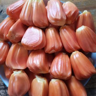 云南红心菠萝蜜品质保证诚信经营欢迎联系接商超市场电商