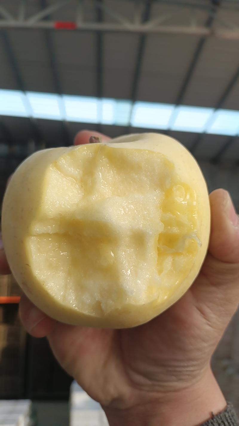 【电商代发】烟台奶油富士苹果一件代发原产地实力大供应链