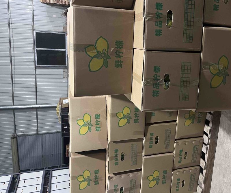 柠檬一二级果