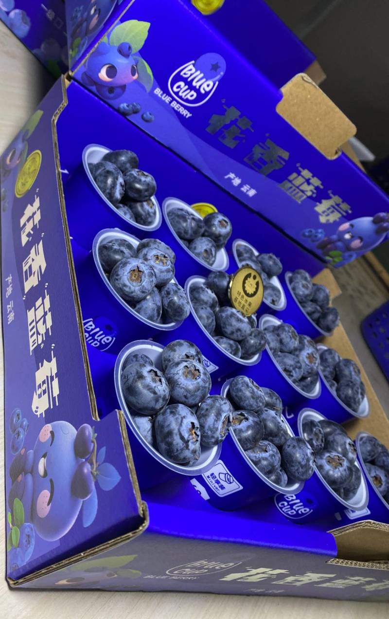 云南蓝莓，优瑞卡，绿宝L25,L11,F6产地一手货源，