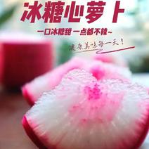 冰糖心萝卜网红山东潍坊精品水果萝卜，红皮瓤白脆甜爽口批发