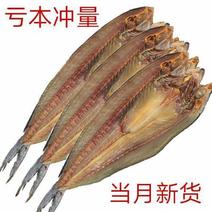 渔民自晒鲅鱼干海鲜干货海产马鲛鱼海鱼干腌制水产品