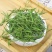 竹叶茶崂山石竹茶石竹青特级新鲜淡竹叶500g石竹茶包邮