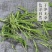 竹叶茶崂山石竹茶石竹青特级新鲜淡竹叶500g石竹茶包邮