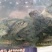 优选溪水石斑鱼苗现货直发欢迎订购驯化鱼苗