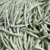 白不老芸豆紫芸豆大量供应有货价格便宜需要的以订单发货