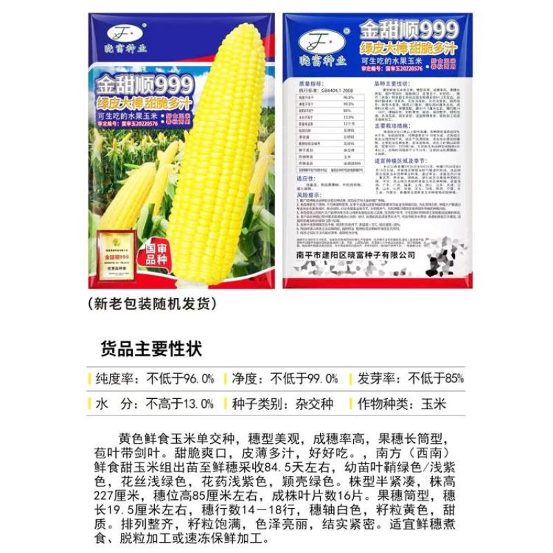 金甜顺999黄甜水果玉米种子绿皮大棒生吃纯黄甜玉米种