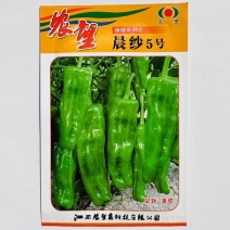 杂交一代薄皮泡椒种子早熟辣椒种子皮薄果型美观产量高口感好