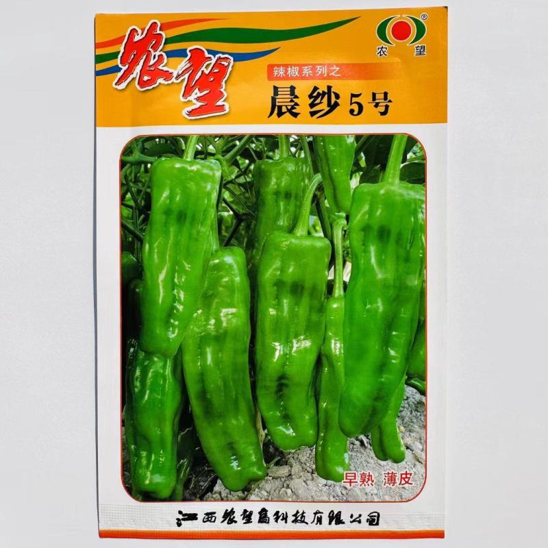 杂交一代薄皮泡椒种子早熟辣椒种子皮薄果型美观产量高口感好