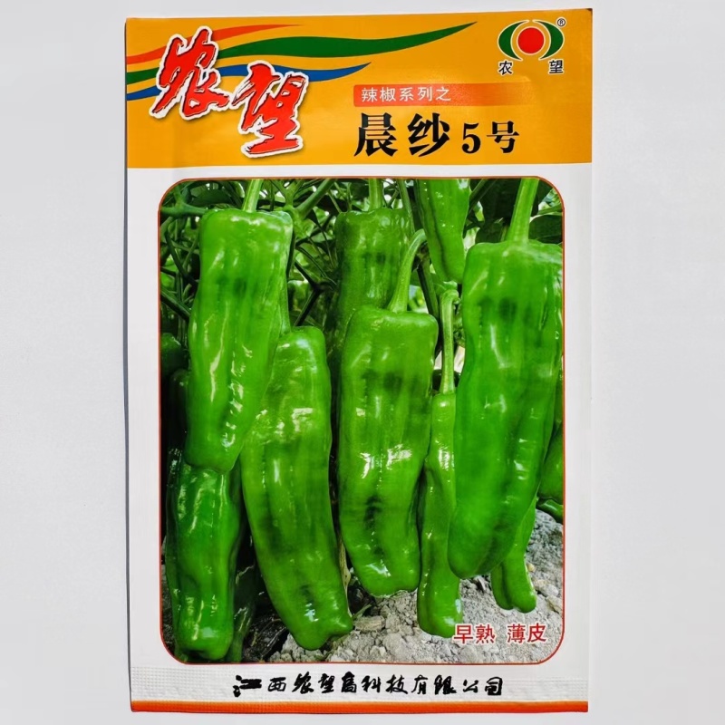 杂交一代薄皮泡椒种子早熟辣椒种子皮薄果型美观产量高口感好