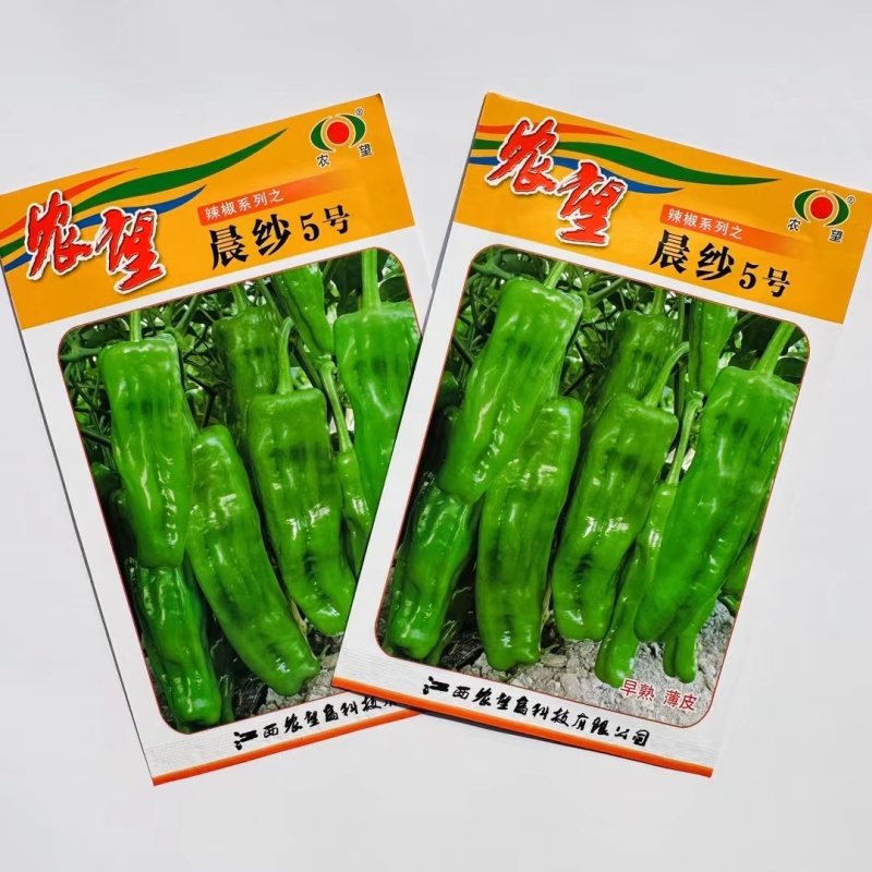 杂交一代薄皮泡椒种子早熟辣椒种子皮薄果型美观产量高口感好