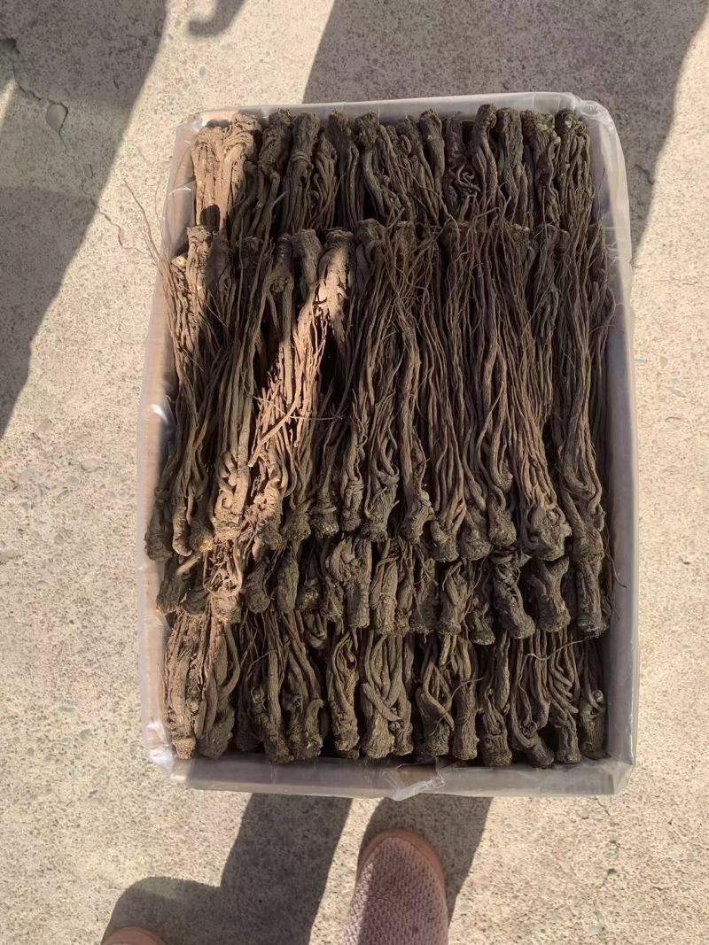 【精品无硫当归】特大条5支一斤岷县产地直发保质保量