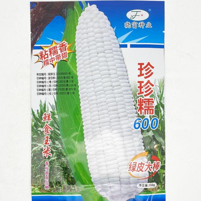 珍珍糯600白甜糯玉米种子绿皮大棒国审白糯玉米种100克