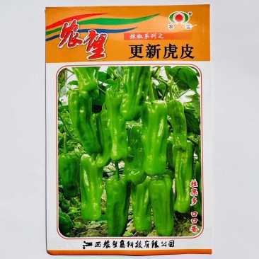 杂交一代薄皮小泡椒种子早熟辣椒种子座果强皮薄口感好