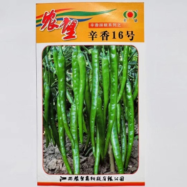 杂交一代中熟线椒种子皮薄辣香味好坐果能力强可越夏栽培