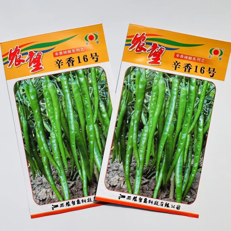 杂交一代中熟线椒种子皮薄辣香味好坐果能力强可越夏栽培