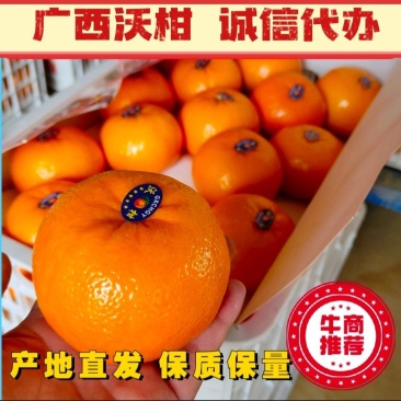 （热卖）沃柑广西沃柑价低质量好批发市场电商果一条龙服务！