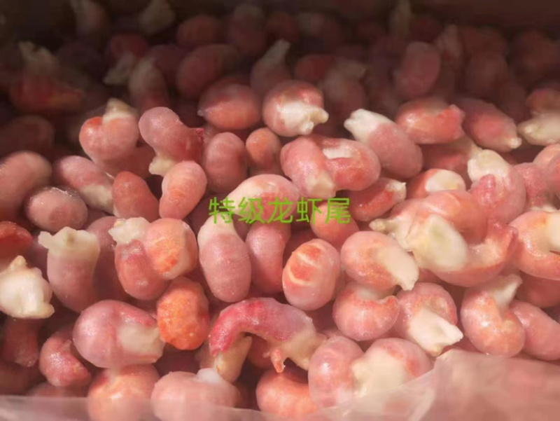 精品虾尾龙虾虾尾品质好欢迎咨询大量供货