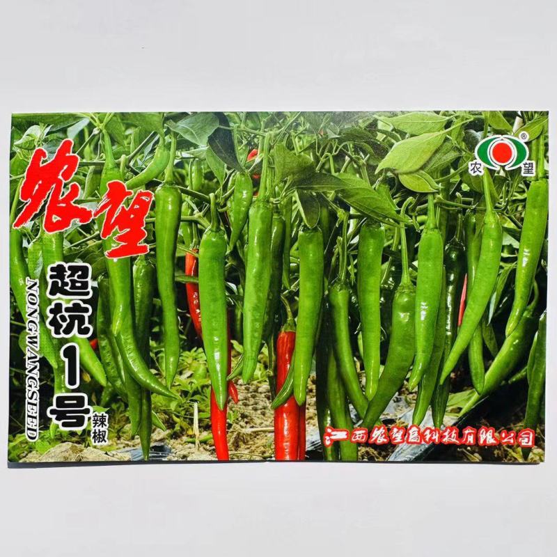 极早熟辣椒种子果实羊角型果多整齐空腔小耐运输杭椒