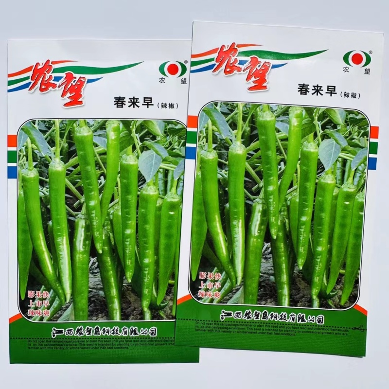 杂交一代羊角椒种子早熟尖椒种子皮薄口感好辣味浓香