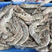 产地直发精品优选冰冻虾可持续大量供货价格优惠欢迎咨询