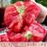 普罗旺斯原装种子草莓西红柿种子釜山88种子口感西红柿