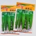 杂交一代青皮尖椒种子果实大羊角型果顺直美观早中熟中辣