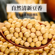 黄豆河南精品黄豆大量上市支持视频欢迎选购