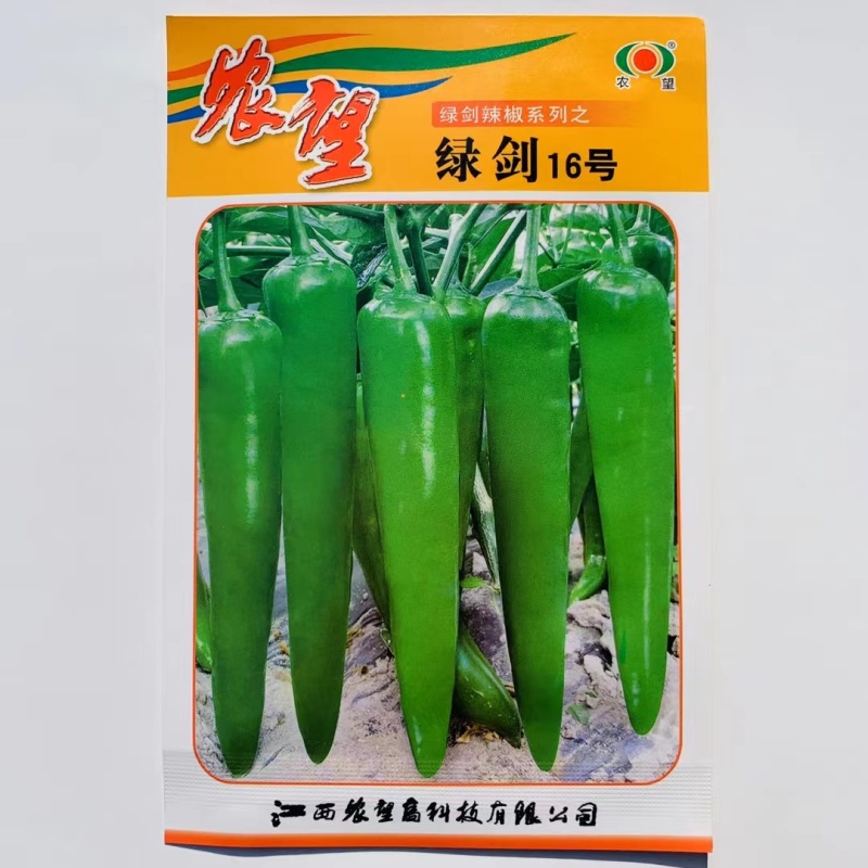 杂交一代青皮尖椒种子果实大羊角型果顺直美观早中熟中辣