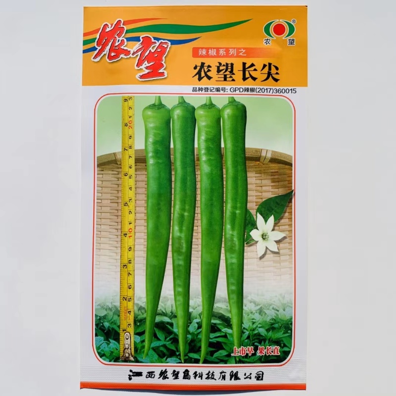 杂交一代长羊角椒种子早熟品种果型顺直口感好