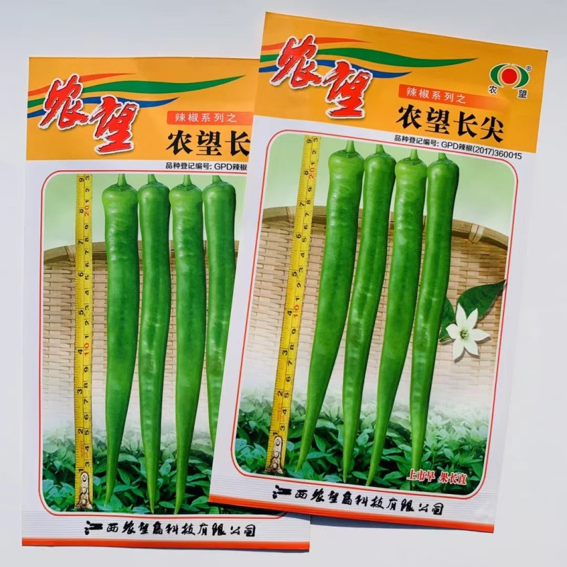 杂交一代长羊角椒种子早熟品种果型顺直口感好