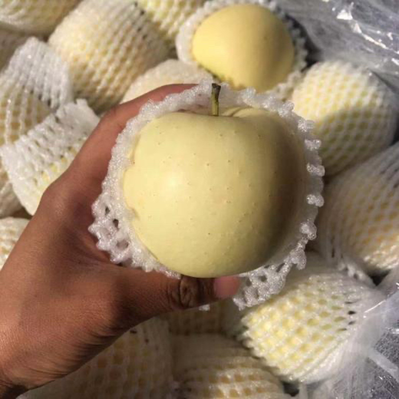 黄元帅