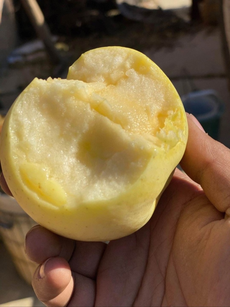 黄元帅