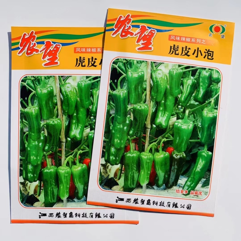 杂交一代辣椒种子虎皮小泡椒种子早熟品种皮薄