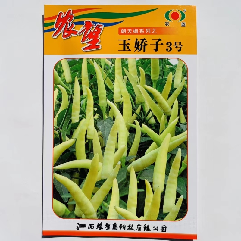 杂交一代中熟白色朝天椒种子果实单生产量高鲜食及加工都可以