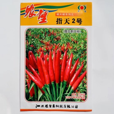 杂交一代簇生朝天椒种子高辣中早熟株型紧凑矮状抗倒伏鲜干两